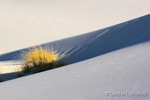 White Sands_31855.jpg - Photographed at the White Sands National Monument near Alamogordo, New Mexico, USA.